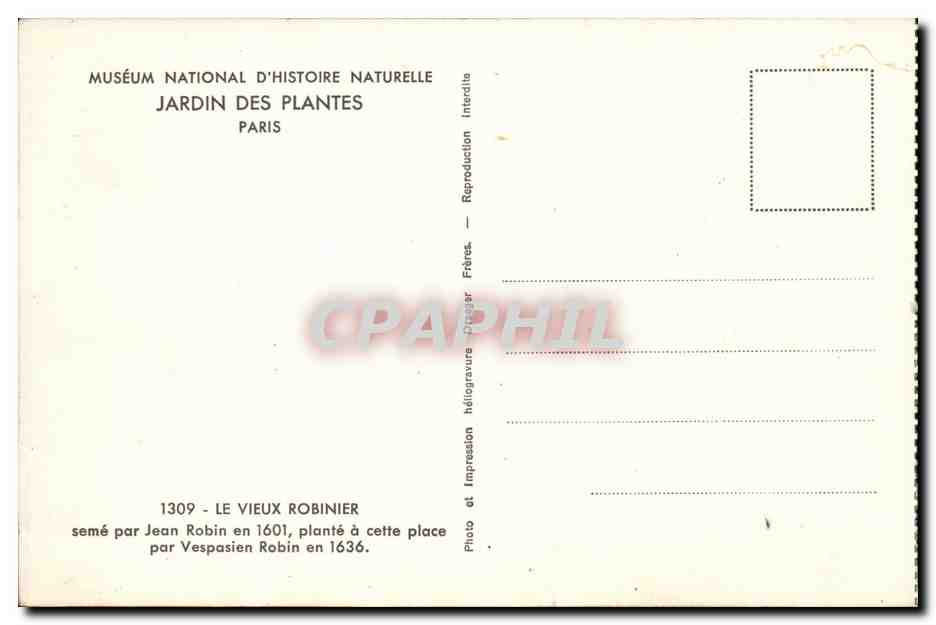 Jardin des Plantes — Le Vieux Robinier — Muséum national d'Histoire naturelle, Paris — Reverso