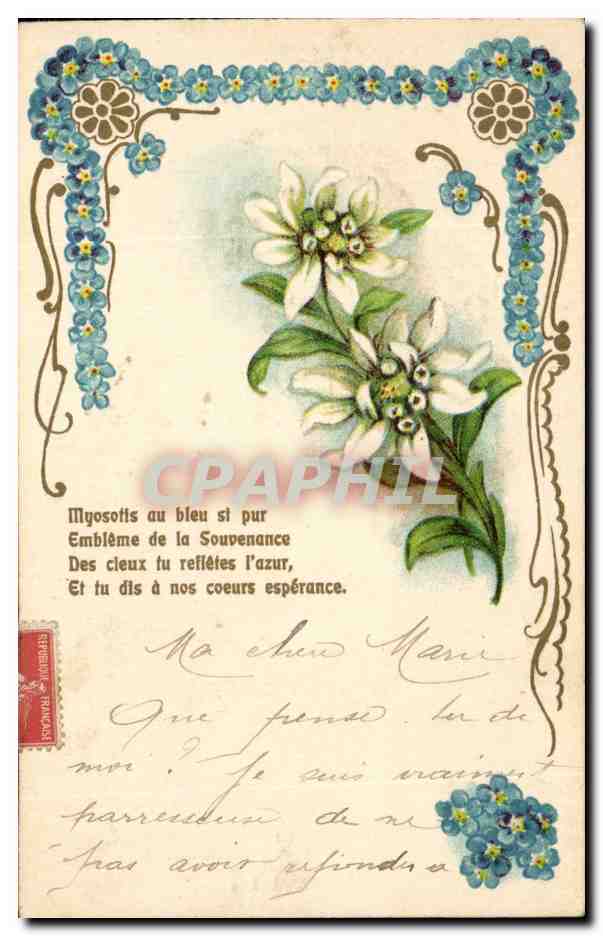 Fleurs - Flowers in Victorian Frame - CPA 