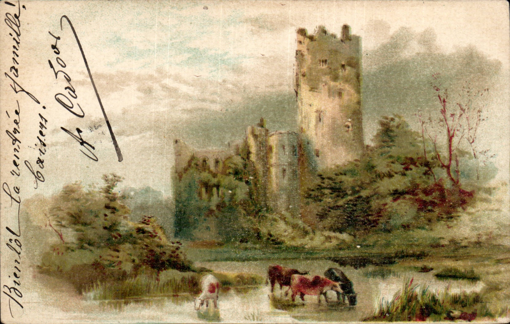 Animaux - Castle and cows - Taureau - Vache - CPA 