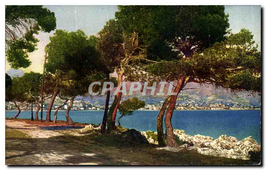 CPA Menton Vue prise du Cap Martin