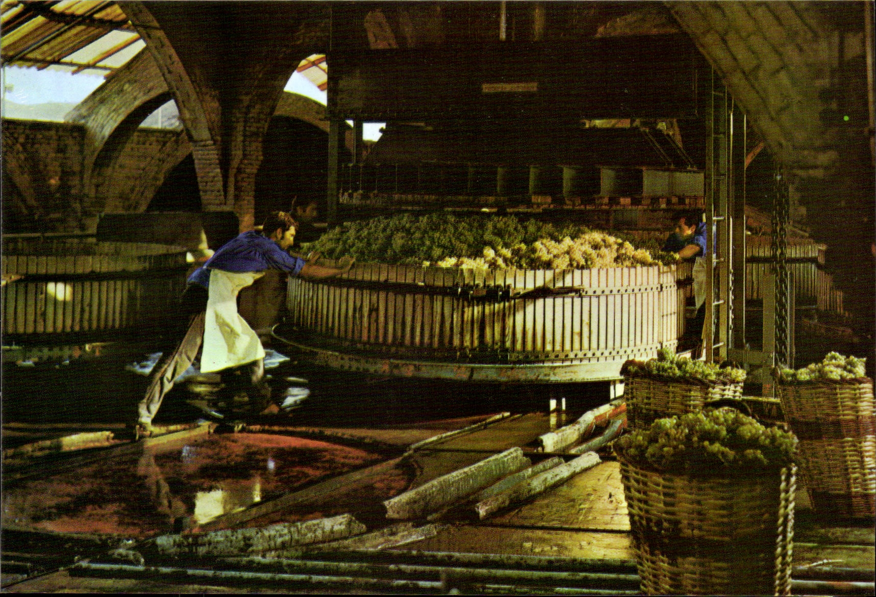 Pressage des raisins — CAVAS CODORNIU — Éditeur : Casa Codorniu, n° de série B 17092-76