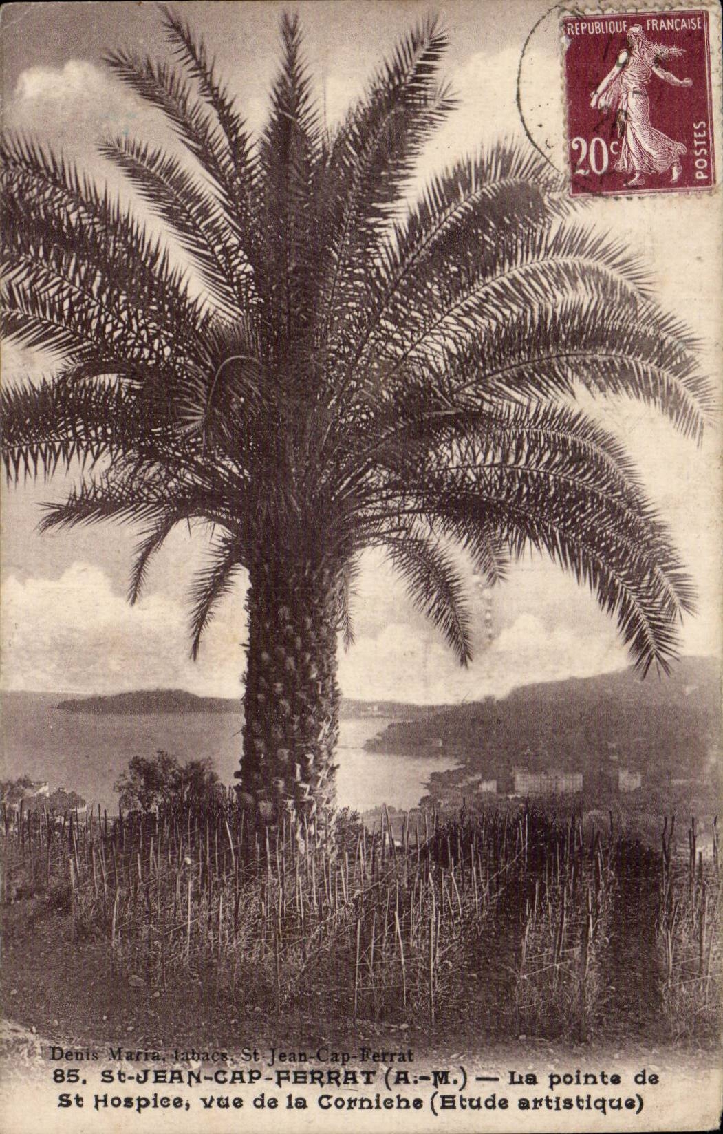 St-Jean-Cap-Ferrat — La pointe de Corniche (Etude artistique) — Denis Marra, 85