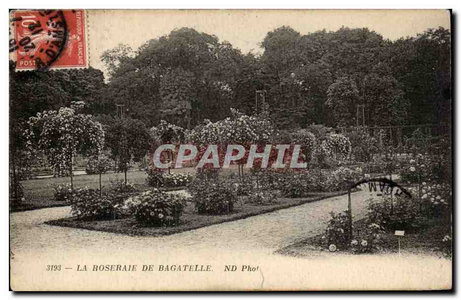 Paris - 16 - La Roseraie de Bagatelle CPA 