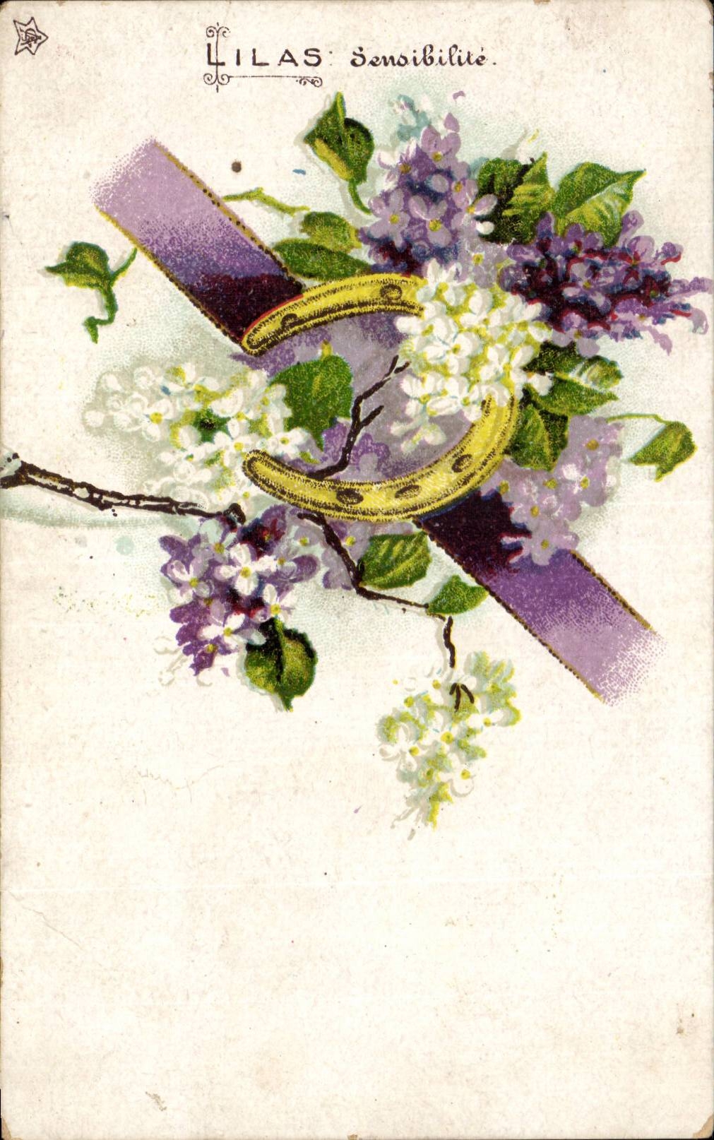 Fleurs - Flowers - Lilas - Sensibilite - CPA 