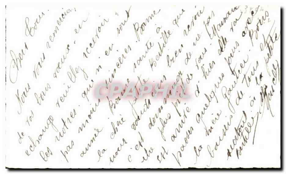 Fetes - Bonne Annee - chat - chien - cat - kitten - dog - CPA  — Verso