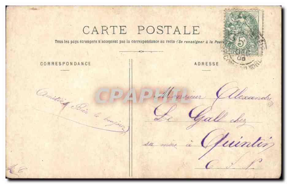 Fleurs - Flowers - Pissenlit - Dandilion Centauree Scabieuse - CPA  — Verso