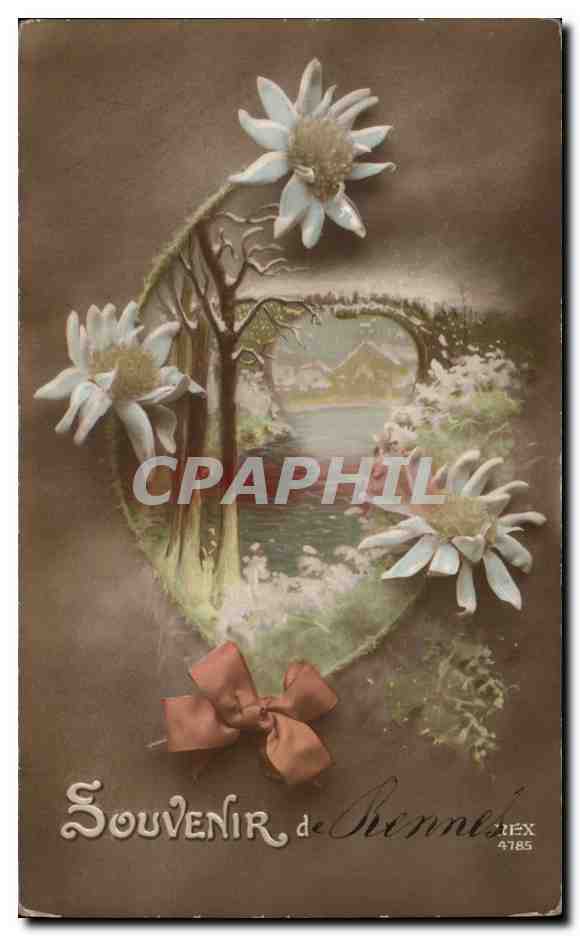 CPA Fantaisie Fleurs Souvenir de Rennes
