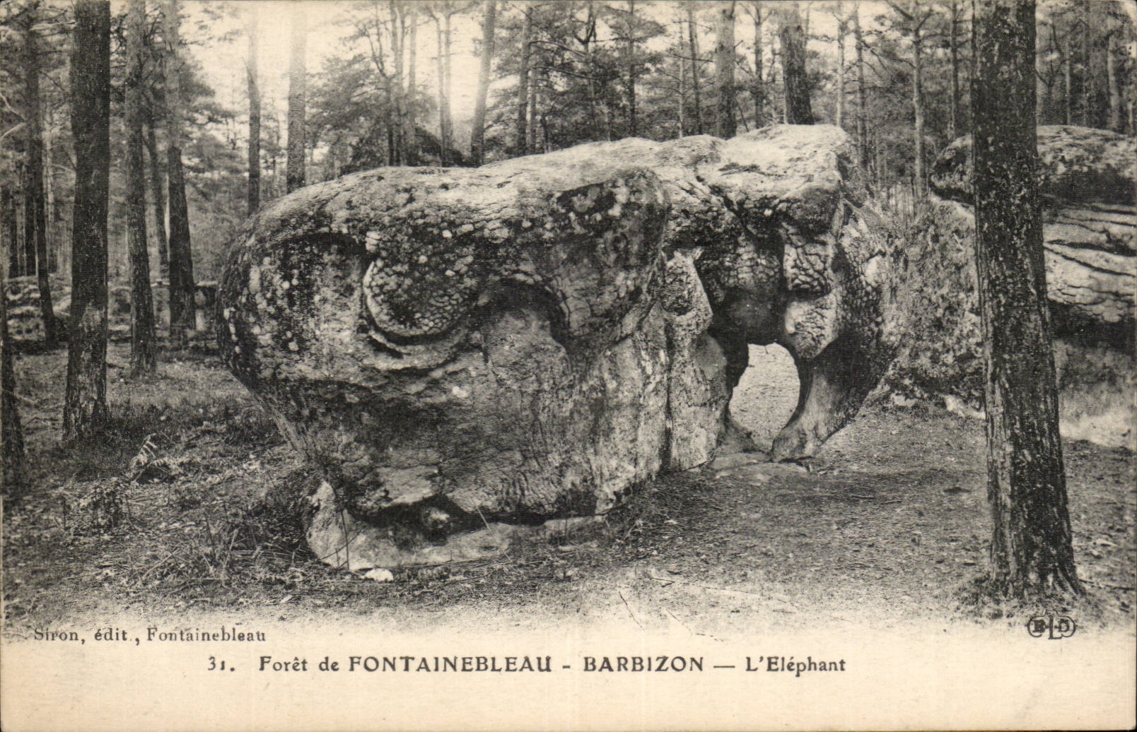 Bosque de Fontainebleau - Barbizon — El Elefante — Siron, editor, Fontainebleau, n°31