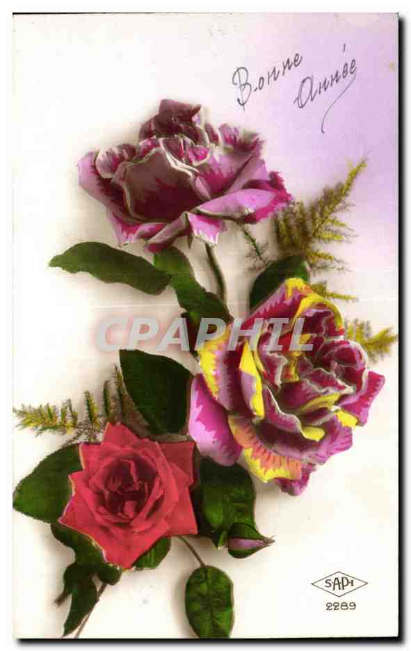 CPA Fantaisie Fleurs Bonne annee Roses