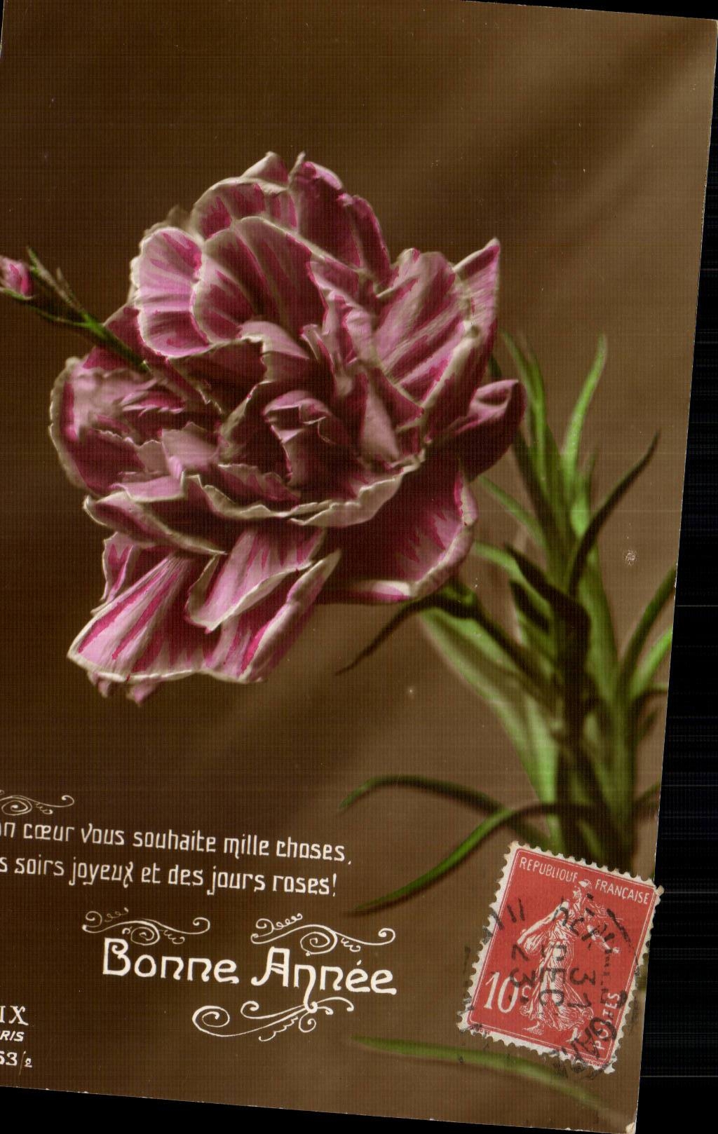 CPA Fantaisie Fleurs Bonne annee