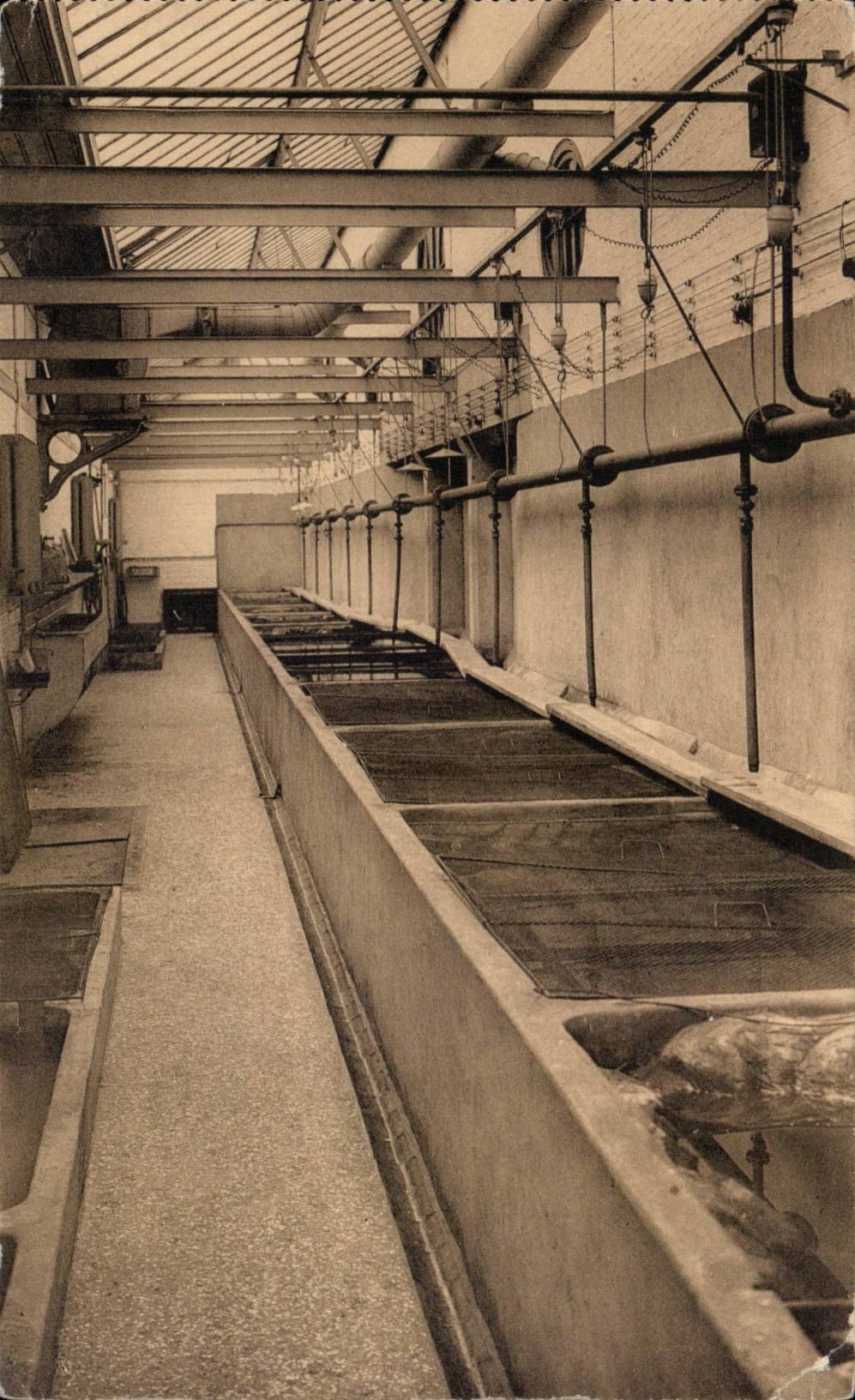 CPA Anvers jardin zoologique Aquarium Corridor de service
