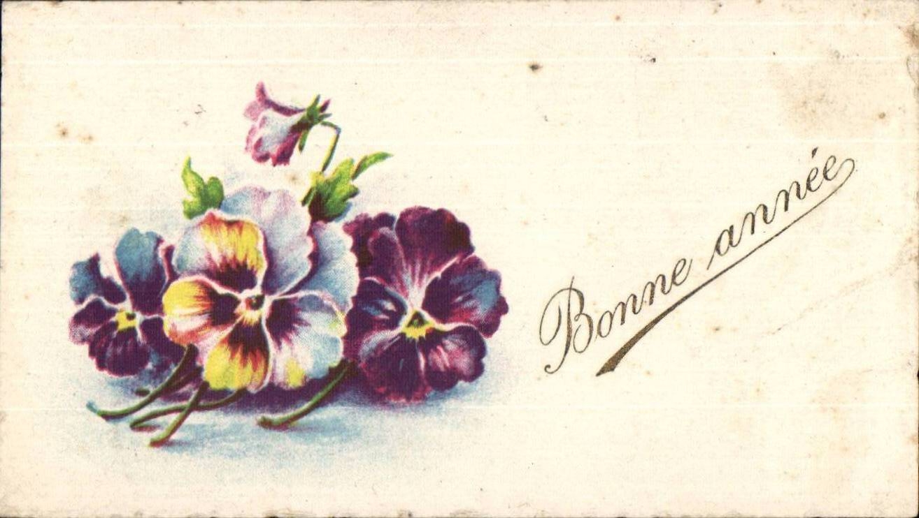 CPA Fantaisie Fleurs Bonne annee