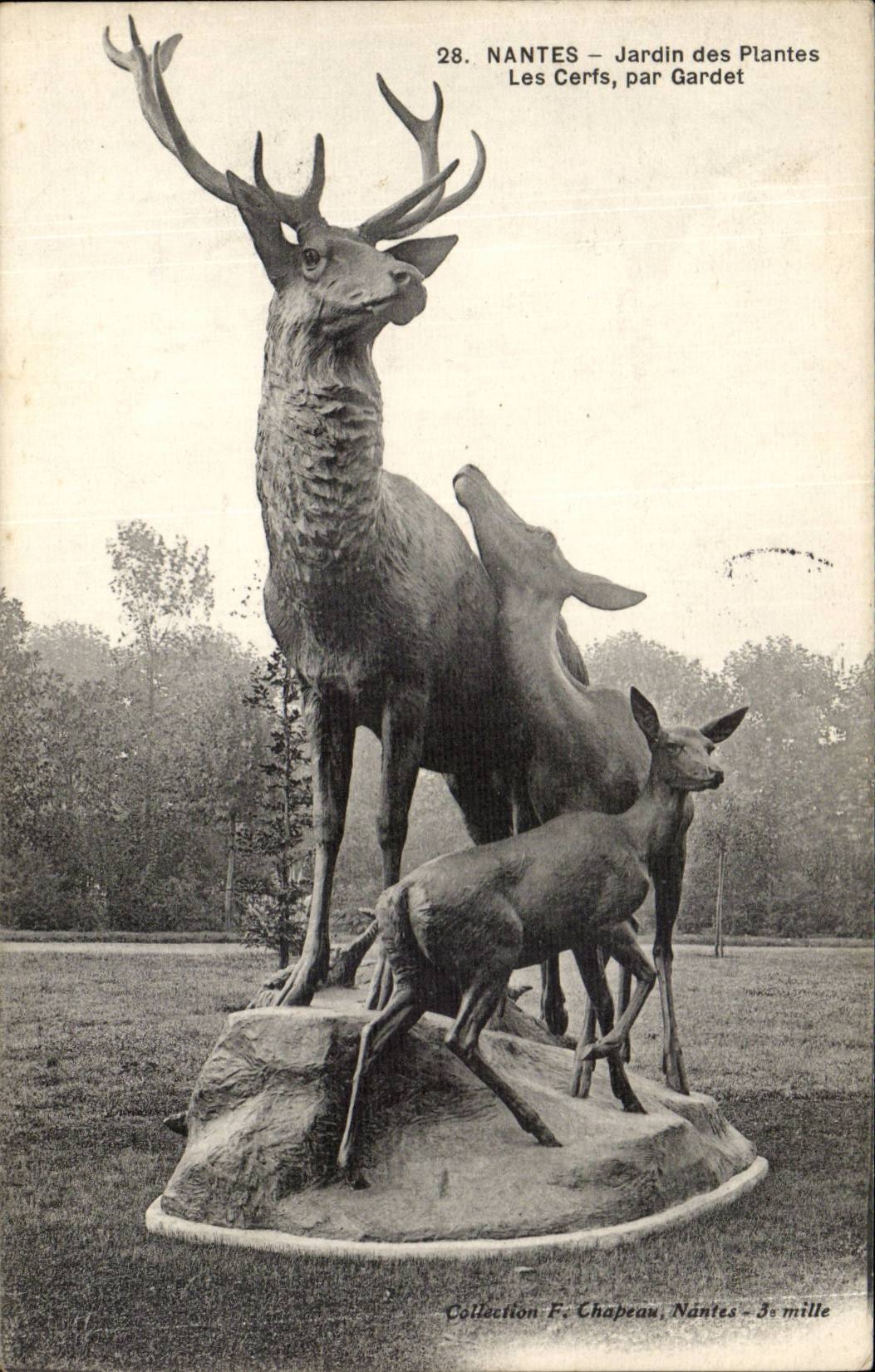 Nantes CPA Jardin des plantes Les cerfs par Gardet