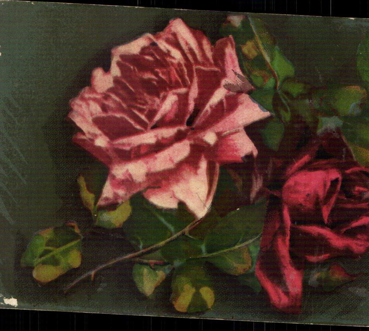 CPA Fantaisie Fleurs Roses