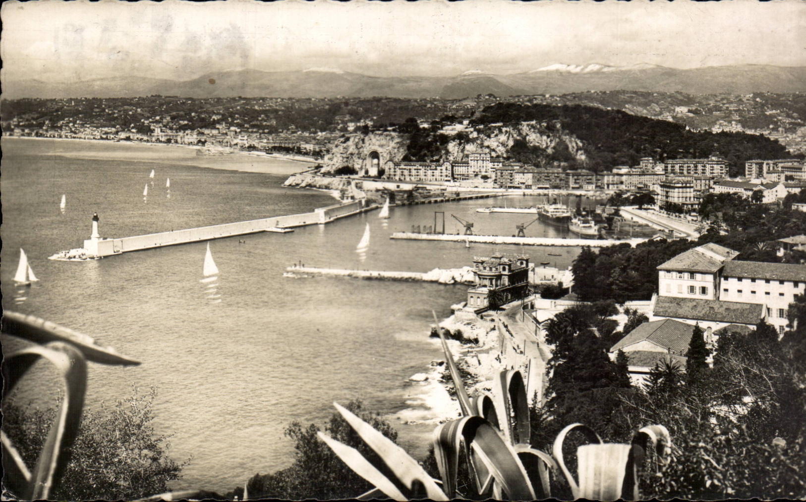 CPA Nice Vue generale de l'entree du port