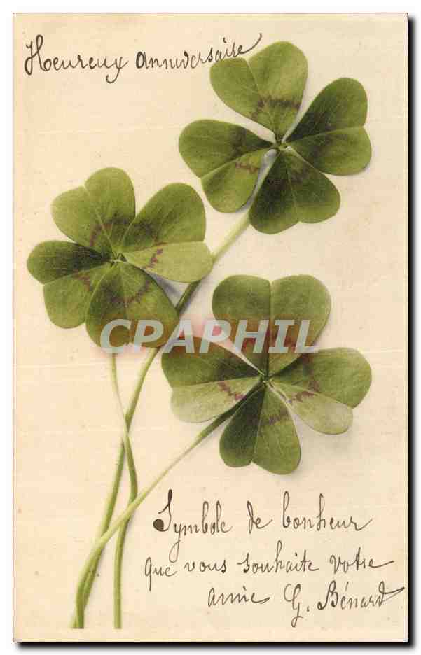 Trefle - Four Leaf Clover - Porte bonheur - good luck charm - CPA 