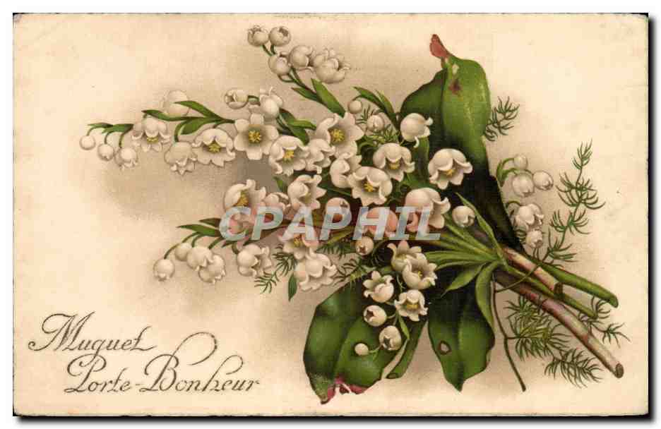 Fleurs - Flowers - Porte Bonheur - Muguet - Lily of the Valley 