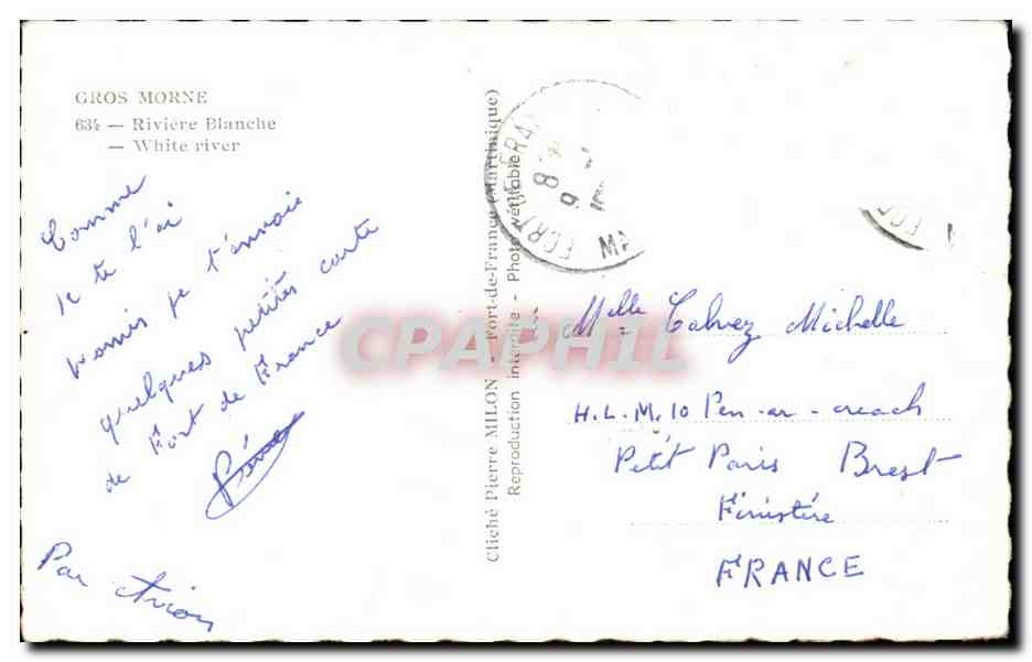 Canada - Newfoundland - Gros Morne - Riviere Blanche - White River - CPA  — Back