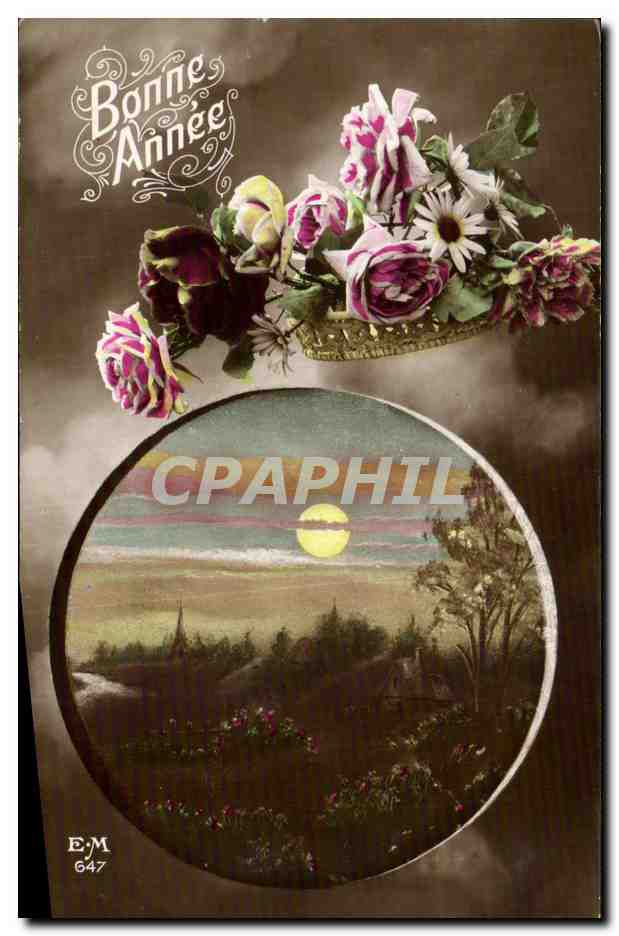 Fetes - Bonne Annee - Fleurs - Flowers - CPA 