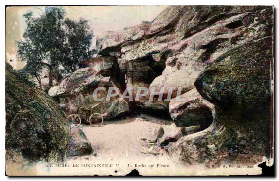Bossche van Fontainebleau — De Roche die Huilt — G. B. N. G. Pontainebleau