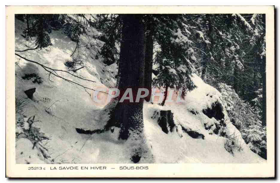 CPA La Savoie en hiver sous bois