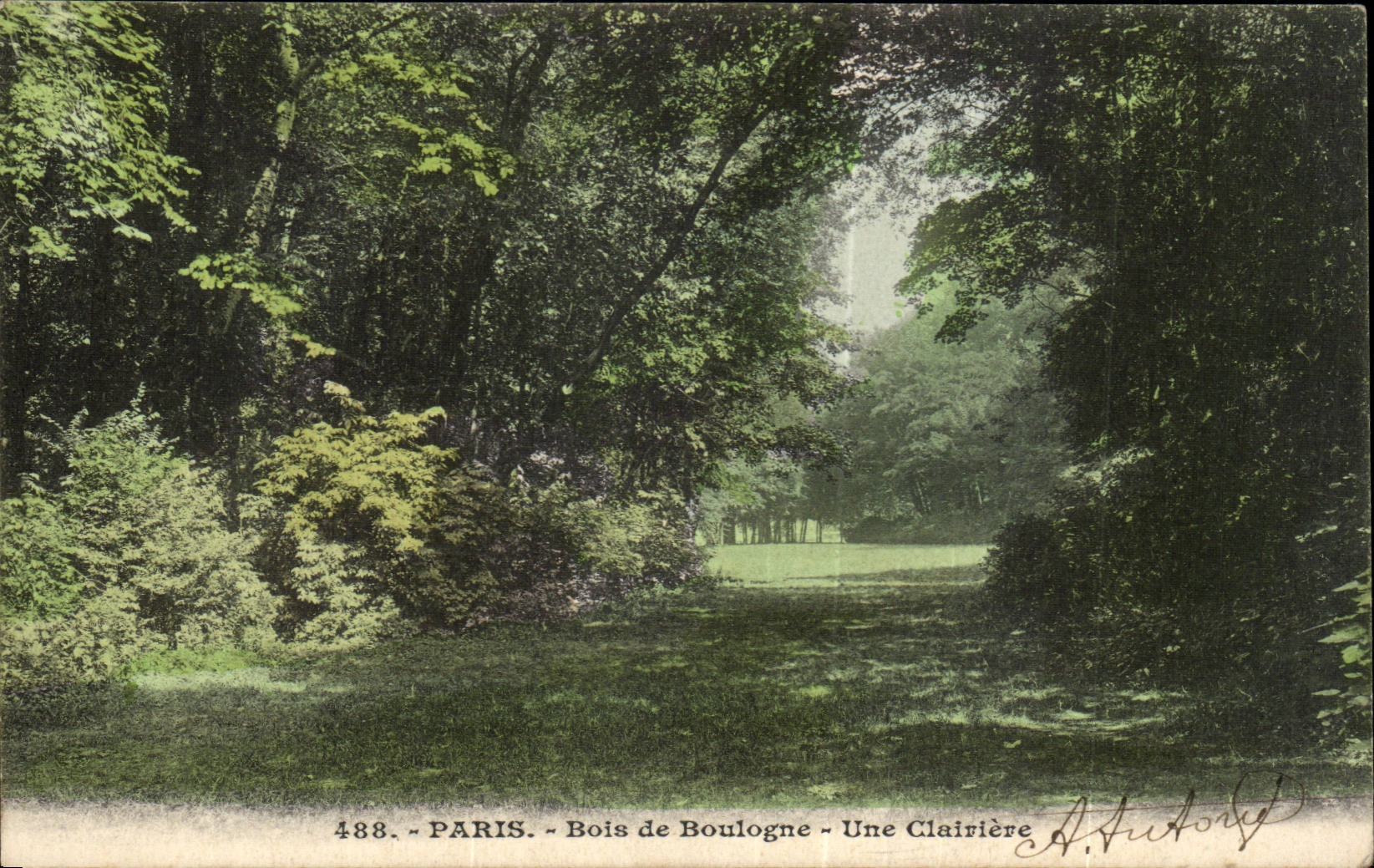 Paris CPA Bois de Boulogne Une clairiere