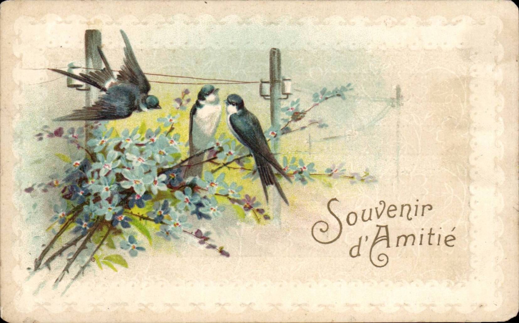 CPA Fantaisie Hirondelles Souvenir d'amitie