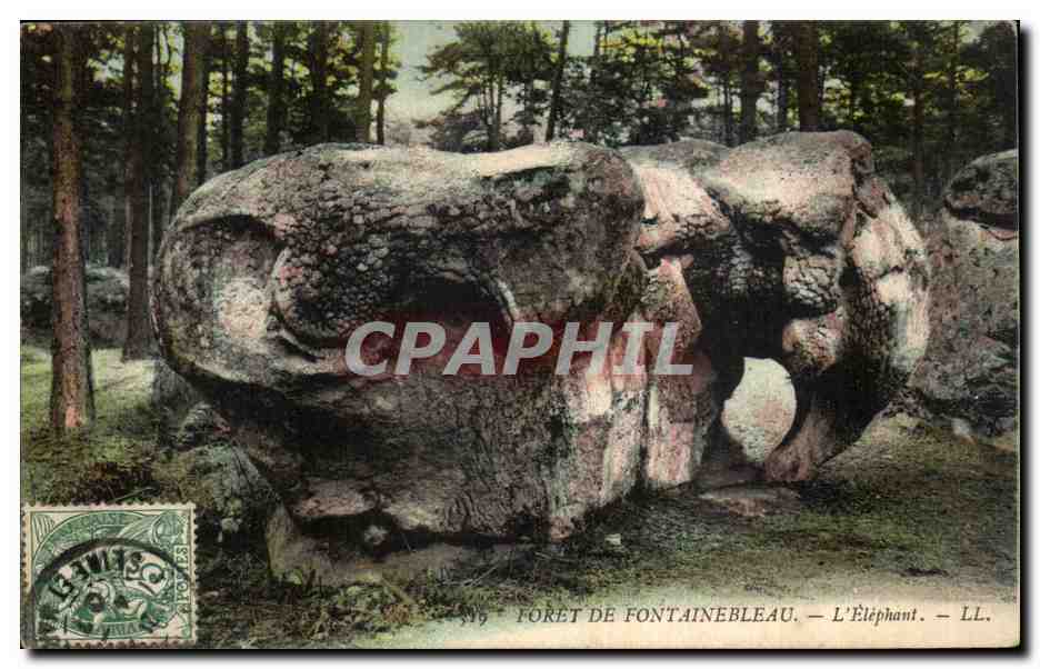 Bosque de Fontainebleau — El Elefante — LL.