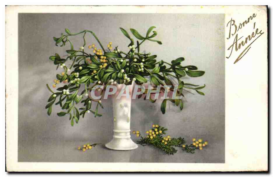 CPA Fantaisie Fleurs Bonne annee