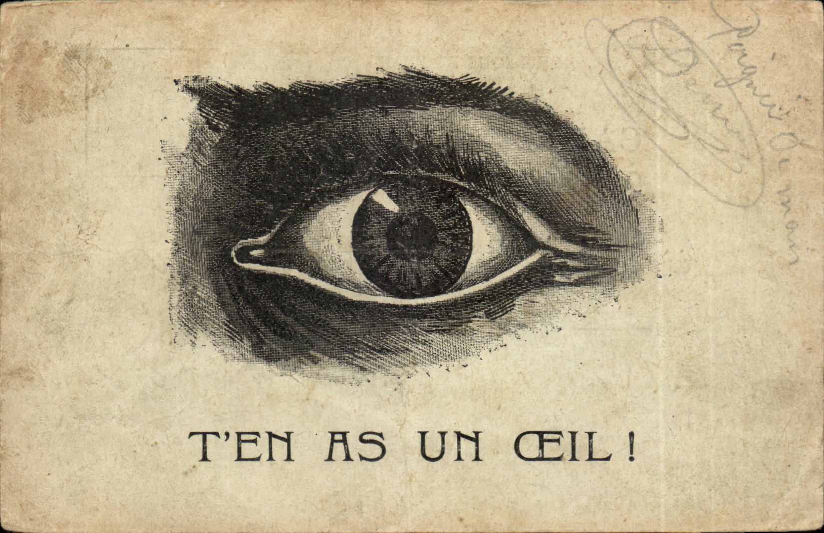 CPA Fantaisie Humour T'en as un oeil Eye