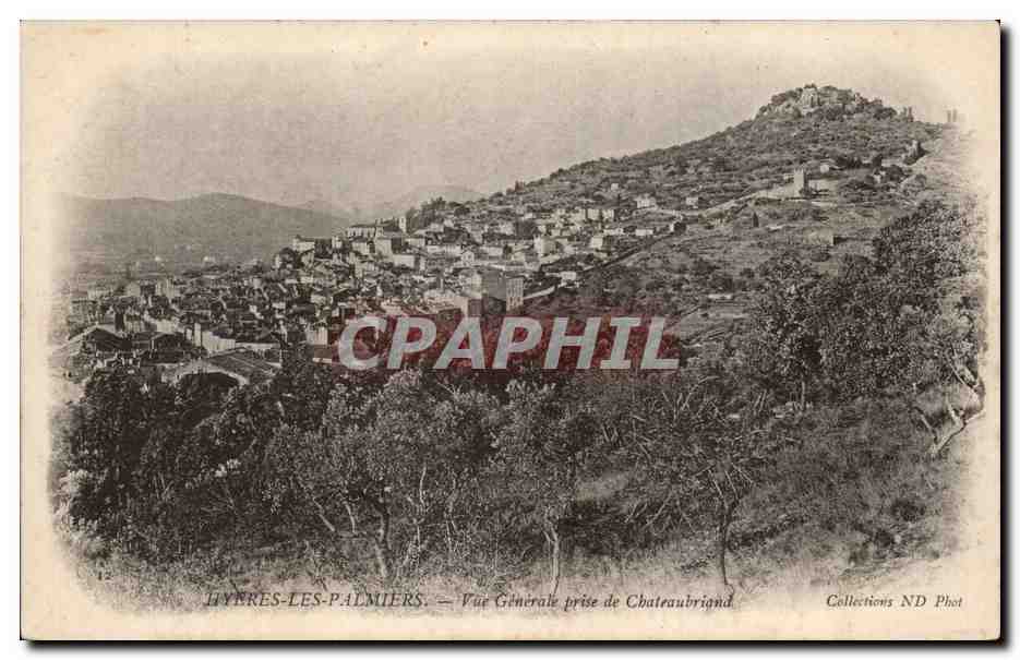 CPA Hyeres les palmiers Vue generale prise du Chateaubriand
