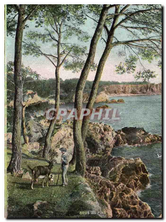 CPA Fantaisie Sous les pins Chevre goat