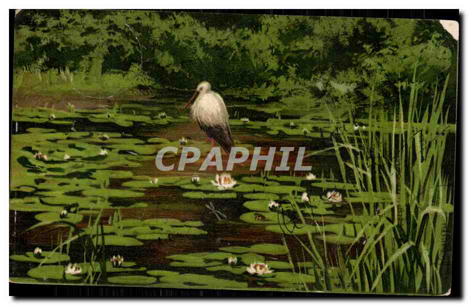CPA Fantaisie Heron au milieu des roseaux