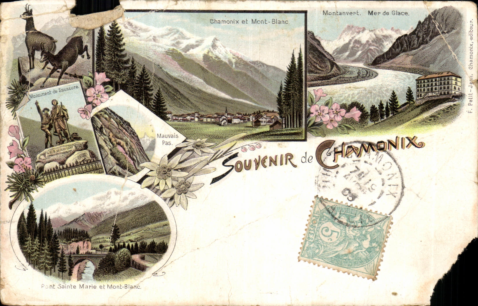 CPA Souvenir de Chamonix chamois