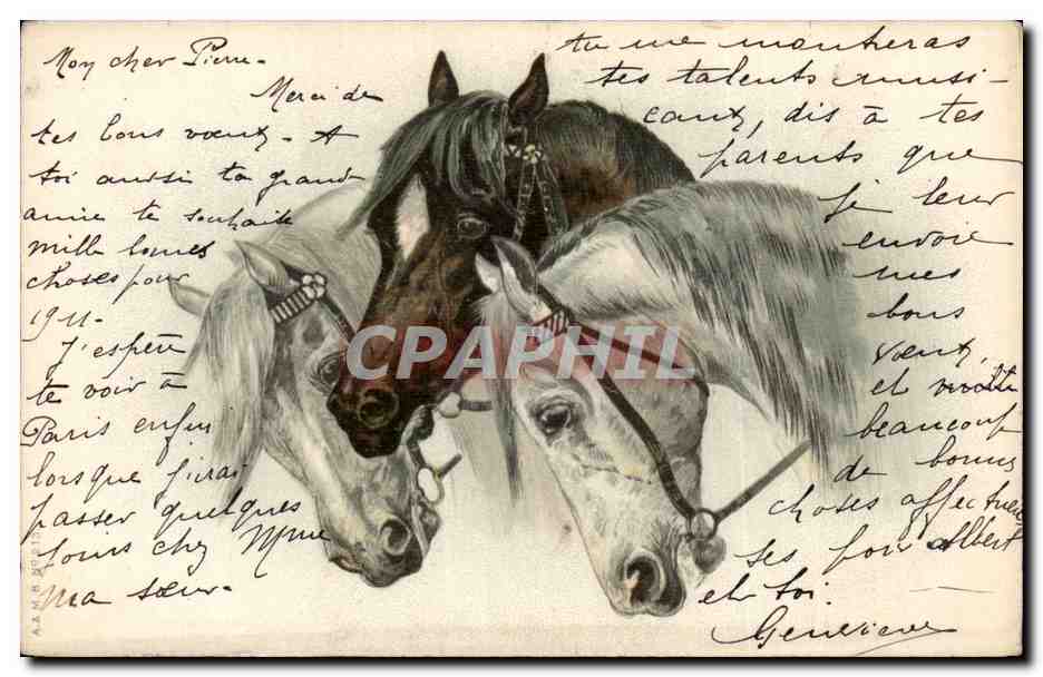 CPA Fantaisie Cheval Horse 