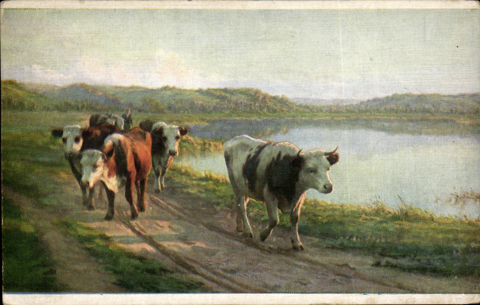 CPA Fantaisie Vache Vaches Cow