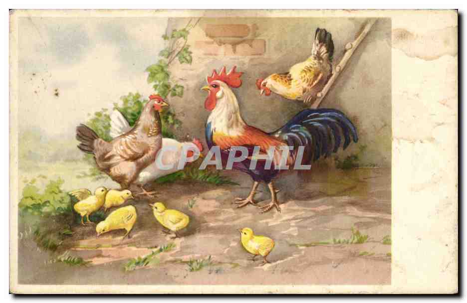 CPA Fantaisie Coq et poule 