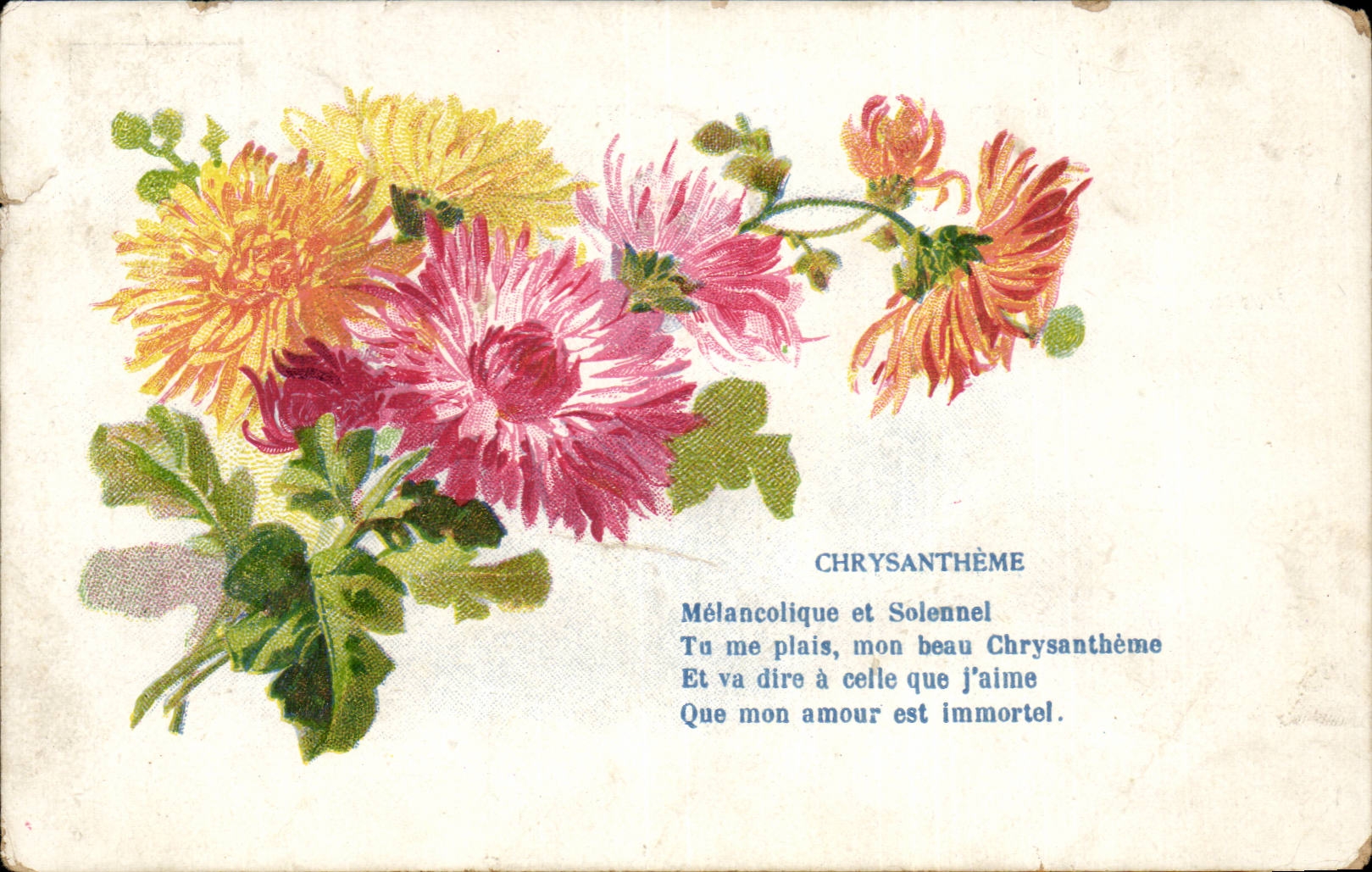 CPA Fantaisie Fleurs Chrysantheme