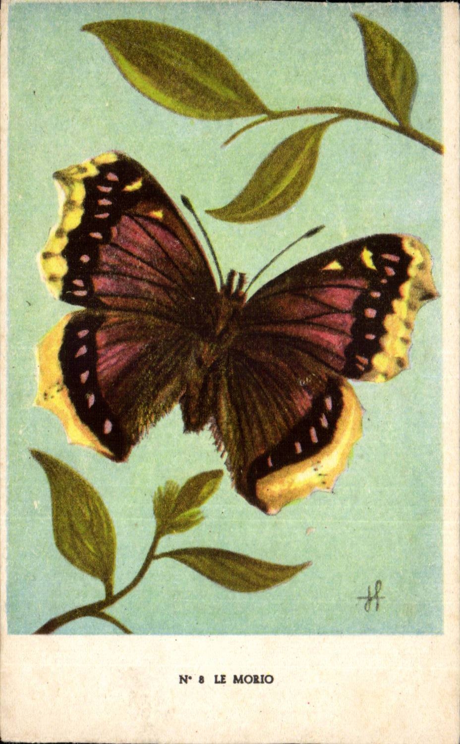 CPA Fantaisie Papillon Butterfly Le Morio