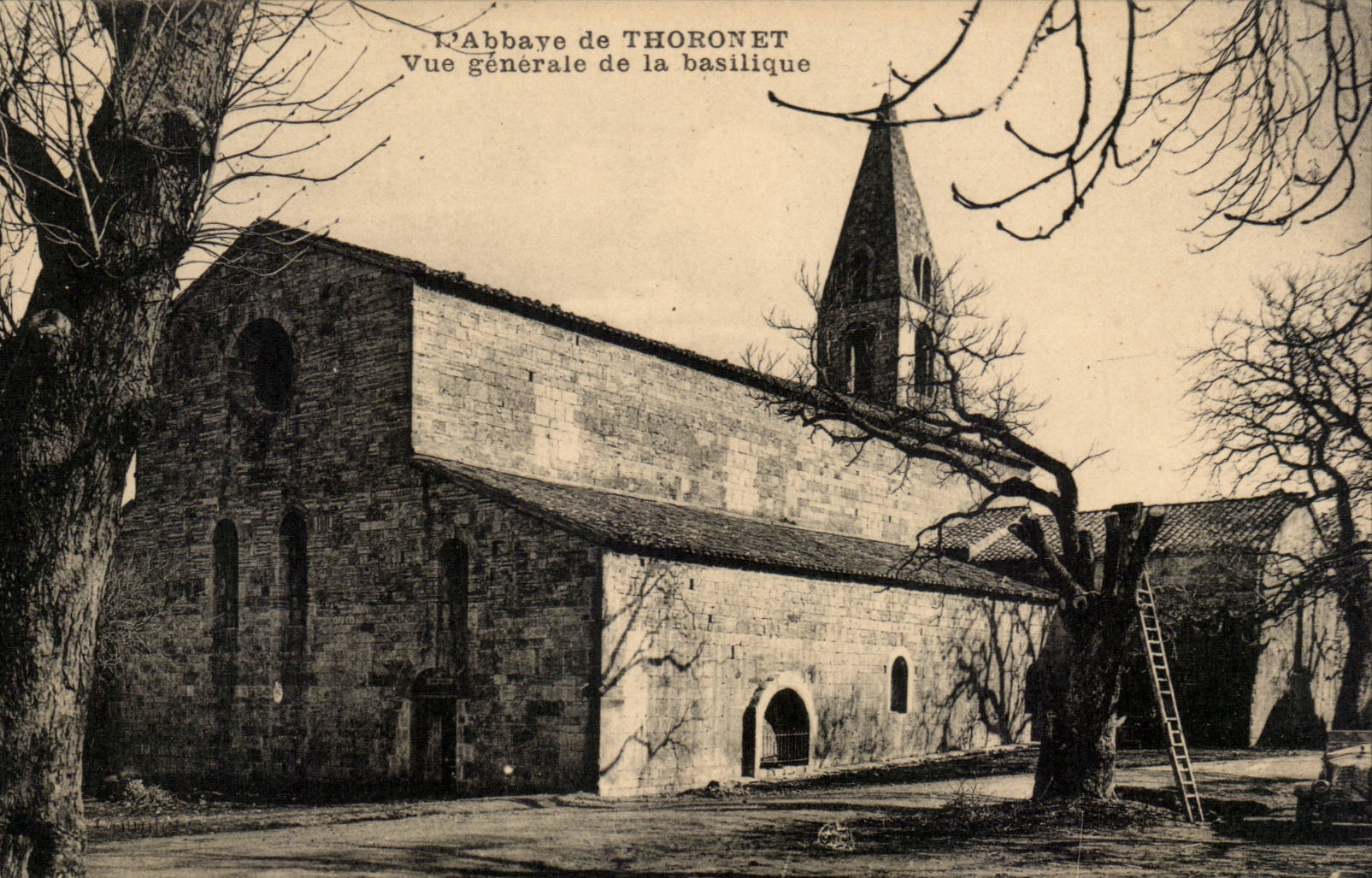 CPA Abbaye de Thoronet Vue generale de la basilique