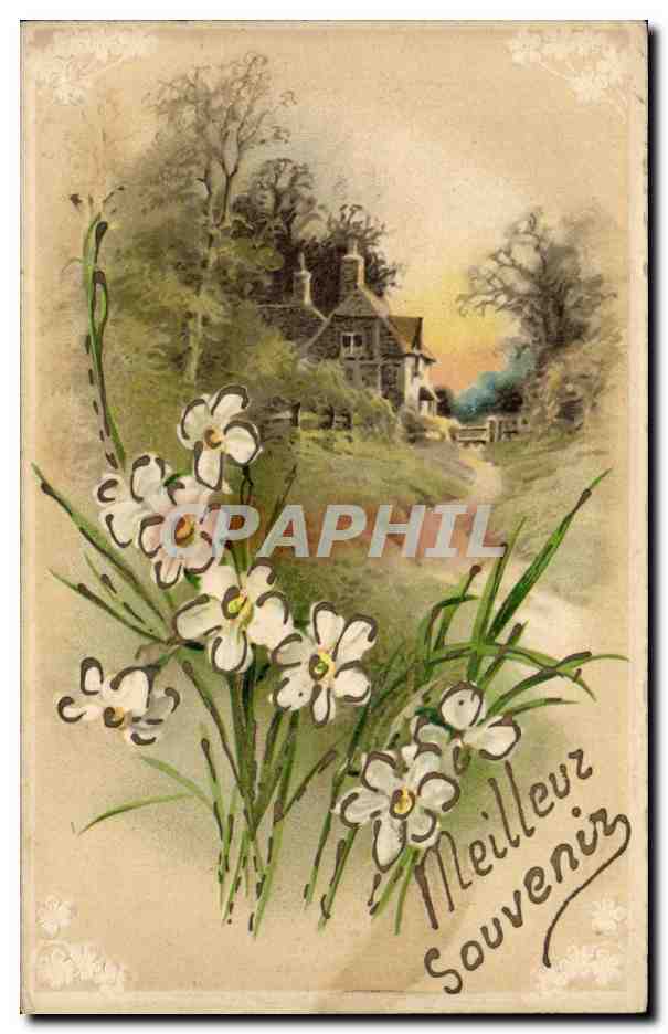 CPA Fantaisie Fleurs Meilleur souvenir