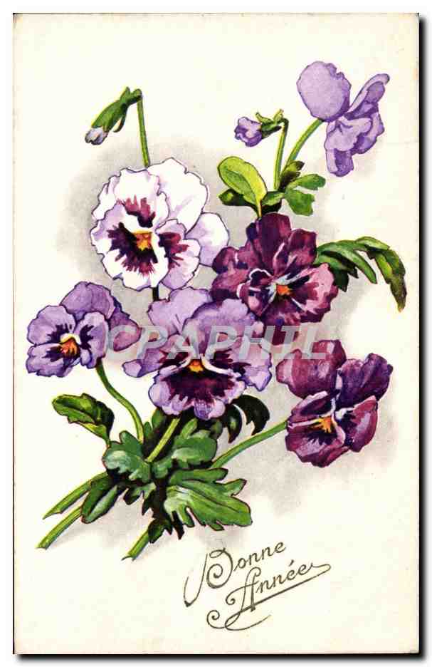 CPA Fantaisie Fleurs Bonne annee