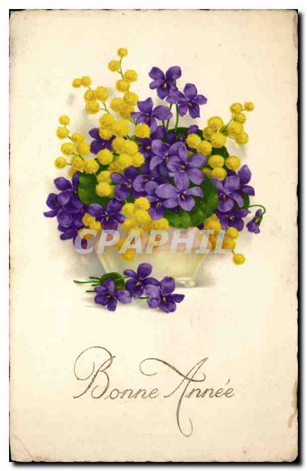CPA Fantaisie Fleurs Roses