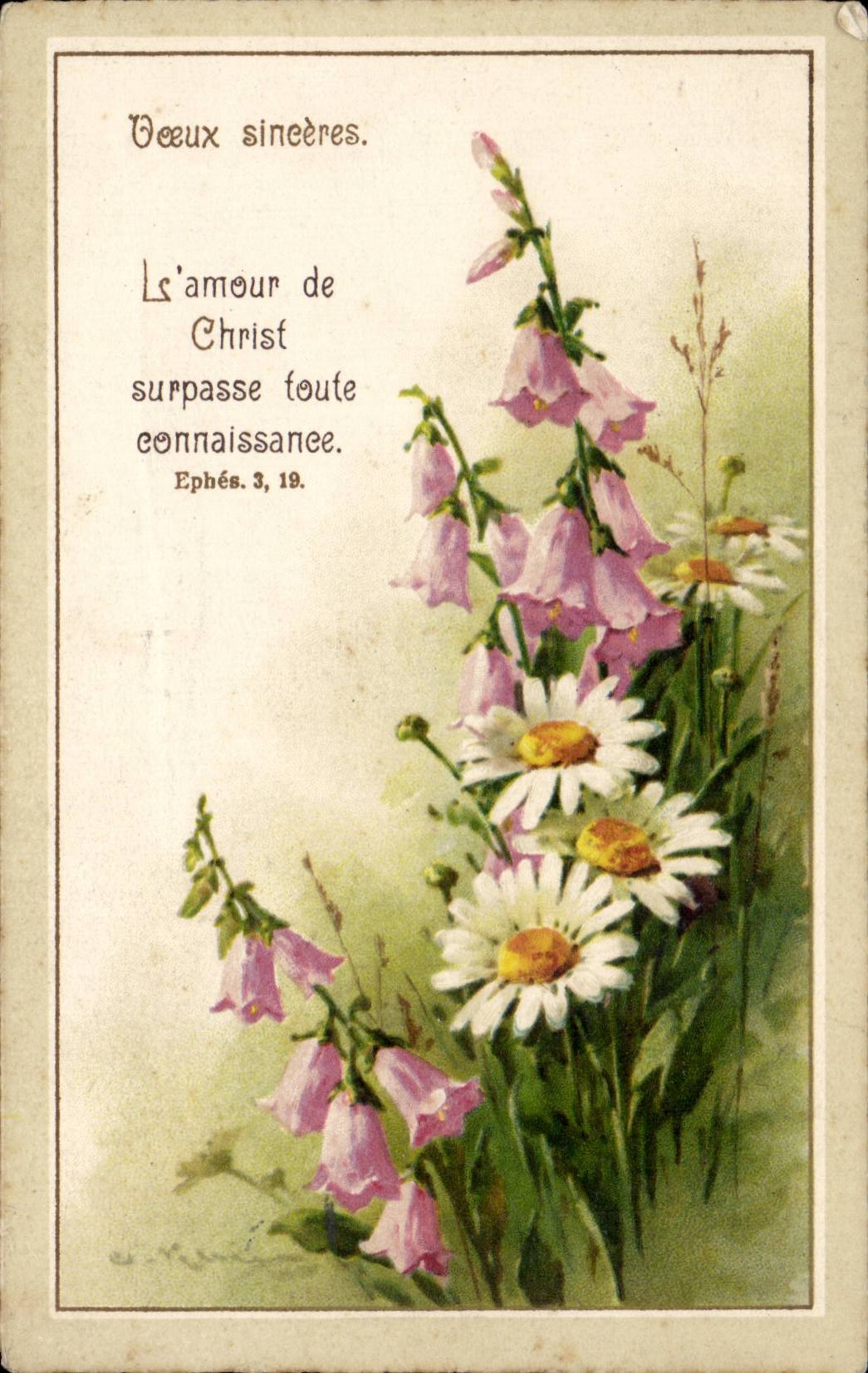 CPA Fantaisie Fleurs Paquerettes