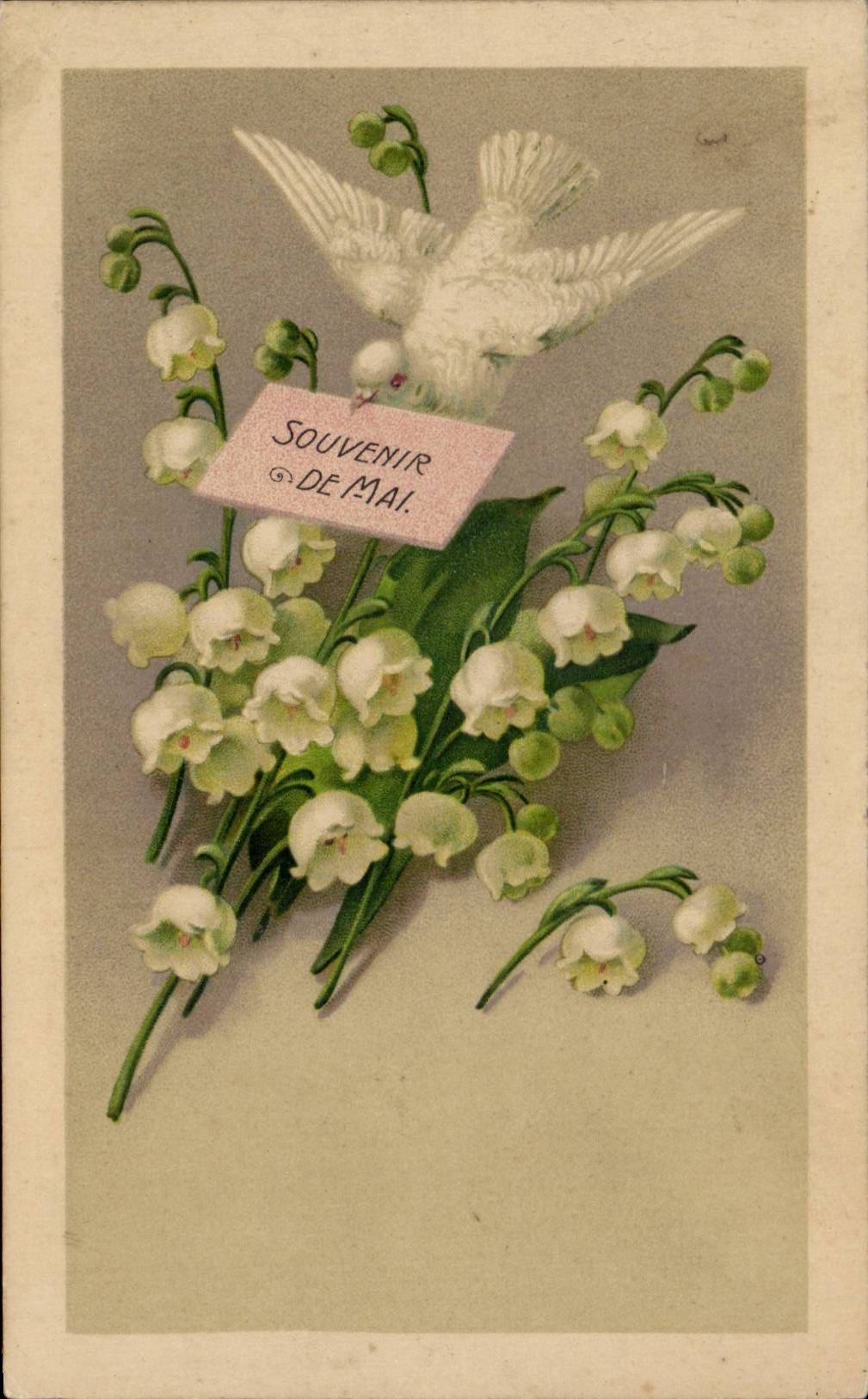 CPA Fantaisie Fleurs Muguet Colombe