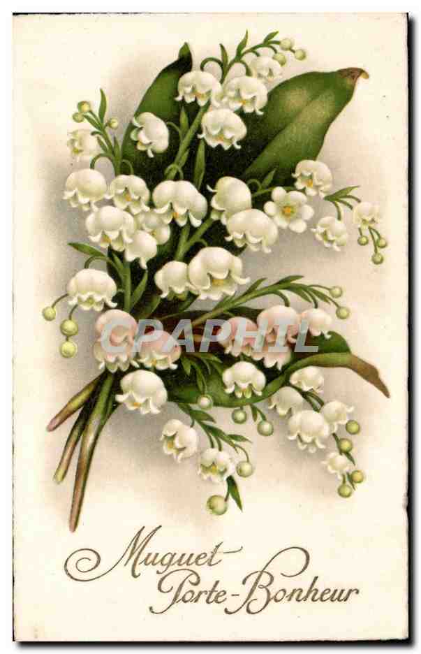 CPA Fantaisie Fleurs Muguet