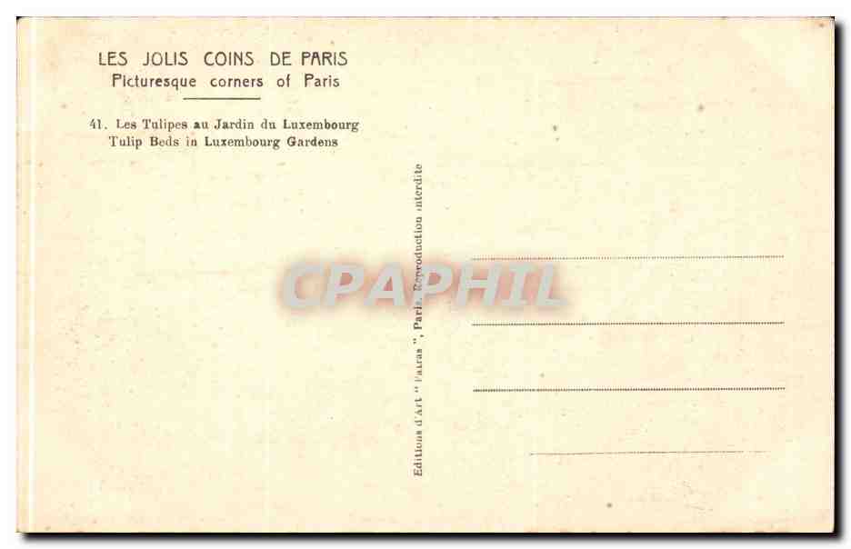 Paris CPA Les tulipes au jardin du Luxembourg — Rückseite