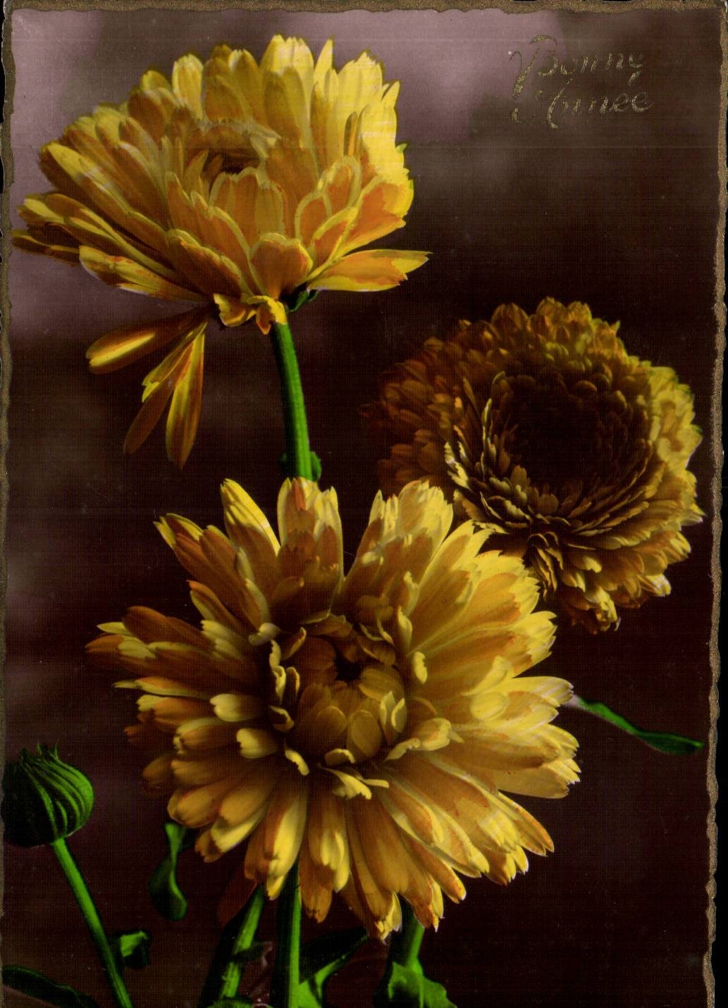 CPA Fantaisie Fleurs