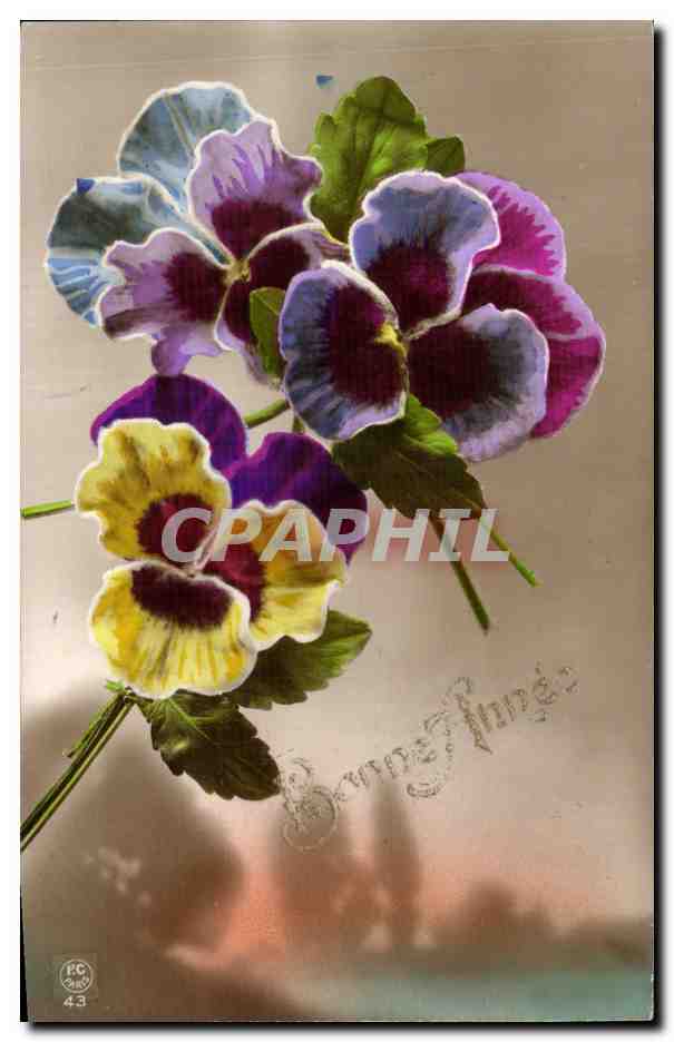 CPA Fantaisie Fleurs Bonne annee