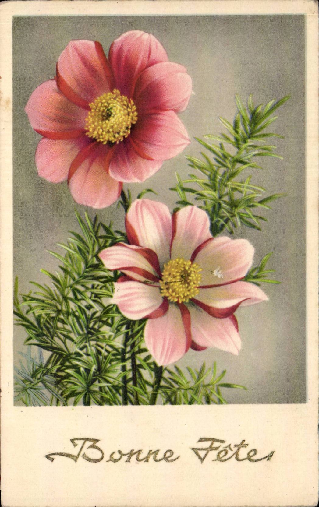 CPA Fantaisie Fleurs Bonne annee
